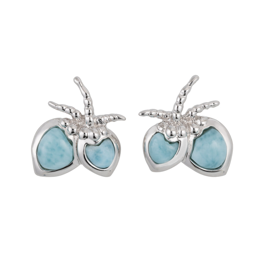 925 Sterling Silver Natural Larimar Coconut Stud Earrings