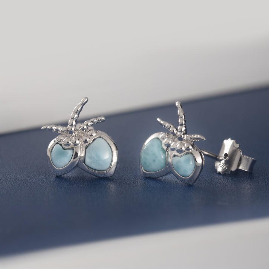 925 Sterling Silver Natural Larimar Coconut Stud Earrings