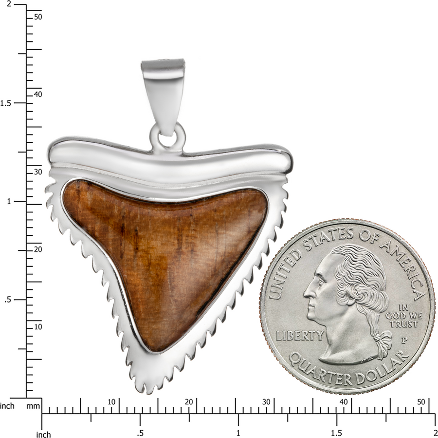 Sterling Silver Koa Wood Shark Tooth Pendant