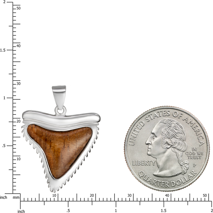 Sterling Silver Koa Wood Shark Tooth Pendant